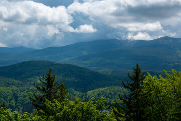 Top view of mountains with coniferous forest landscape with blue sky. travel concept background