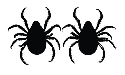 Stylized tick pair graphic is perfect for use in scientific diagrams or health hazard warnings.