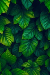 Vibrant Tropical Foliage