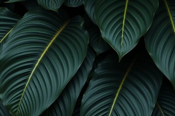 Tropical Abstraction