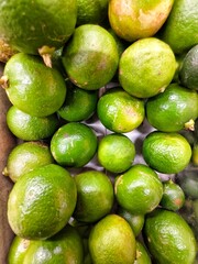 Fresh Green Limes Arranged Closely in a Vibrant Display