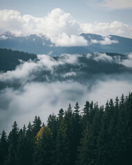 A Breathtaking Cinematic View of Misty Mountains and Lush Green Forest Landscape Under a Dramatic Sky