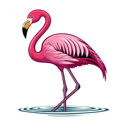 Elegant flamingo illustration standing in water pink feathers tropical bird design vector art exotic nature wildlife illustration
