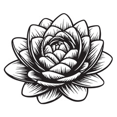 Intricate black and white illustration of a delicate lotus flower in full bloom