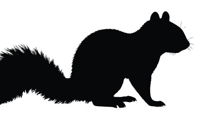 Squirrel Silhouette Vector – Crisp Black Wildlife Graphic for Branding and Design Use