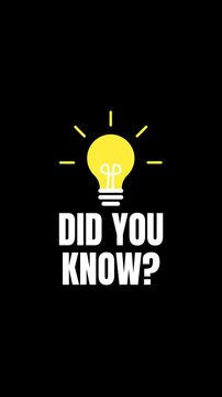 Animated light bulb with Did You Know text on black background. Perfect for educational, informative, or fun fact intros, social media content, and explainer videos.