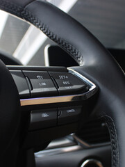 Speed and lane departure warning system control unit on the steering wheel of a car  