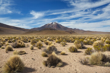 Northern Chile