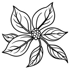 Ashwagandha line art vector