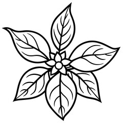 Ashwagandha line art vector