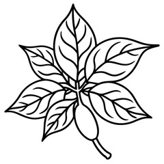 Ashwagandha line art vector