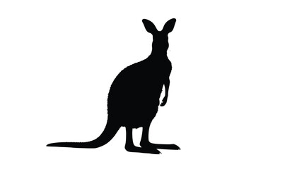 Kangaroo silhouette standing upright isolated on white background