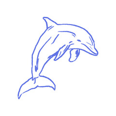 Minimal dolphin line drawing in hand drawn sketch style. Chalk blue tropical summer sea animal doodle sticker for marine life coloring pages, kids ocean education prints.