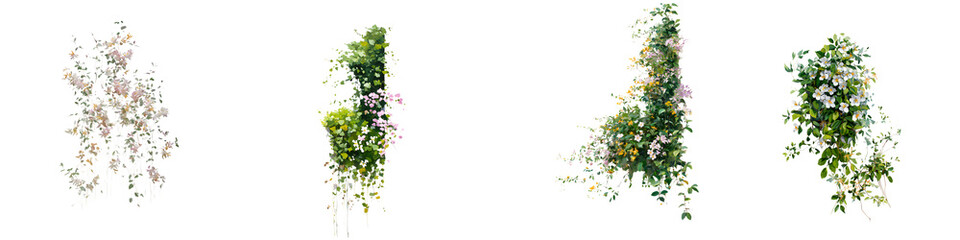 Watercolor Floral Vine Set: Climbing Plant Decoration