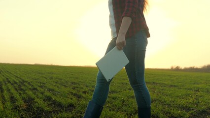 a farmer in boots with a tablet in his hands walks through a field with green wheat, work in the...