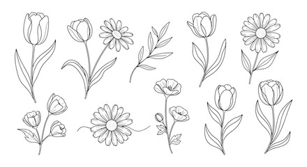 Set of Hand-Drawn Line Art Flower Illustrations - Tulips, Daisies, Poppies