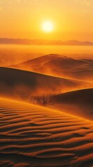Golden sunlight rises over smooth sand dunes in the desert. Tranquil and majestic natural landscape.