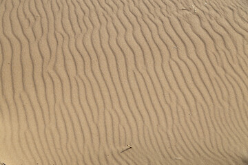 Top-down view of wind-created wavy patterns in light sand. Sunlight enhances textured relief with long shadows. Abstract beach detail. Gulf of Finland, Russia. 