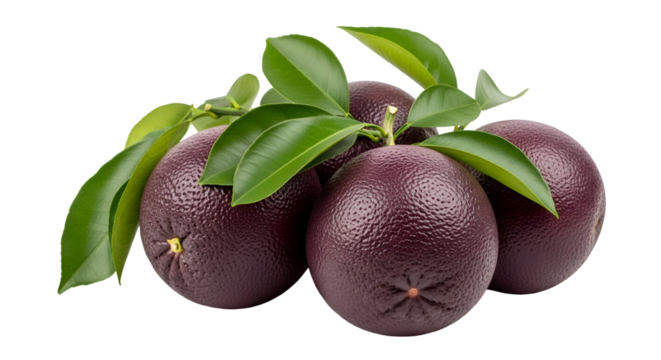 Purple Citrus Fruits with Leaves on Transparent Background