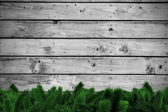 Fototapeta Fir branches on wooden planks
