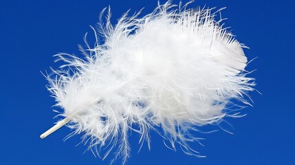 Single delicate white feather floating against a vibrant royal blue backdrop simplicity and contrast