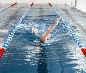 Swimmer practicing freestyle stroke in a competition swimming pool lane