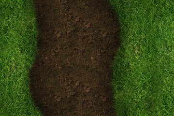 Obraz premium Vertical line crossing grass