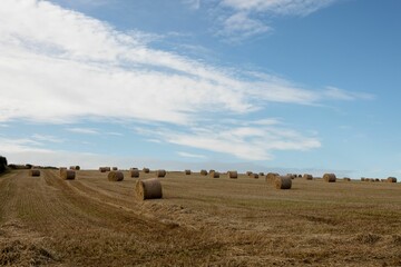 Hay bale on field against blue sky