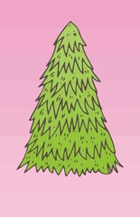 Fir tree for chrismas decoration