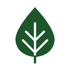 Dark green leaf with white veins and stem vector