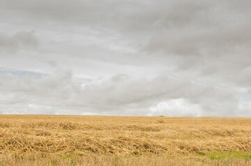 Cloudy countryside background
