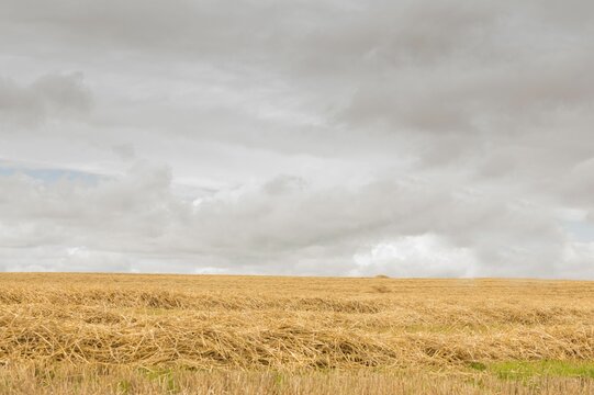 Fototapeta Cloudy countryside background