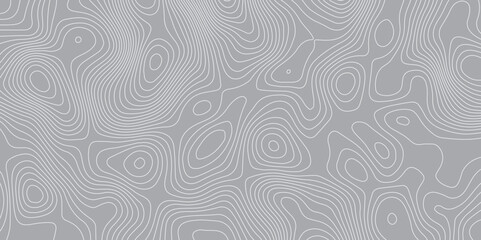 Fototapeta premium A subtle, abstract background featuring a continuous pattern of thin, organic, wavy lines resembling topographical maps or wood grain, rendered in shades of light grey and off-white. 