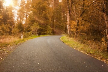Curved asphalt road is winding through sunlit autumn forest in flat design, showing stone milestone