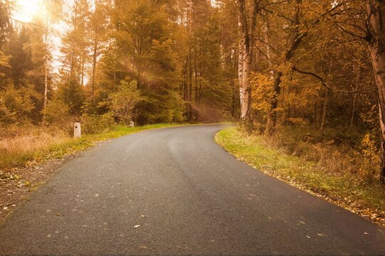 Fototapeta Curved asphalt road is winding through sunlit autumn forest in flat design, showing stone milestone