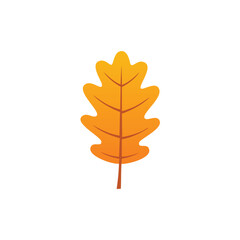 Orange oak leaf with veins autumn fall