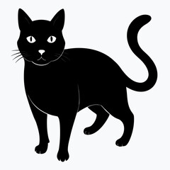 Obraz premium black cat vector illustration