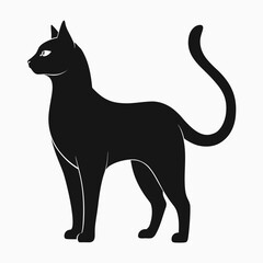 black cat isolated on white