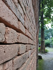 clay brick arrange in wall background