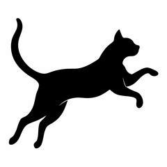 silhouette of a cat