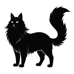 black cat vector illustration