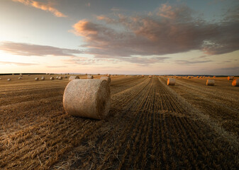 Golden sunset over farm field with hay bales.
