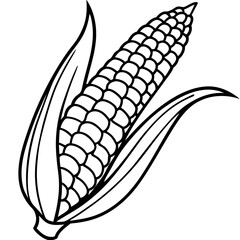 Corn line art vector