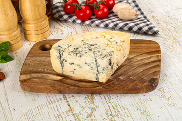Gourmet blue cheese with mold