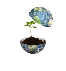 earth and plant