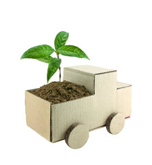 plant in a box