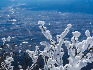 黒斑山の樹氷