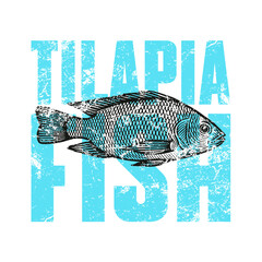 Black and white woodcut-style vector illustration of a tilapia fish in side view. The artwork features fine, clean lines and a stylized scale pattern.