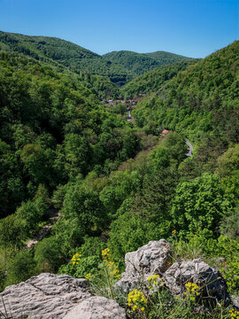 Dramatic view from the Moln&aacute;r Rock cliff, overlooking the green valley and the village of Als&oacute;h&aacute;mor, framed by rugged limestone and yellow wildflowers.