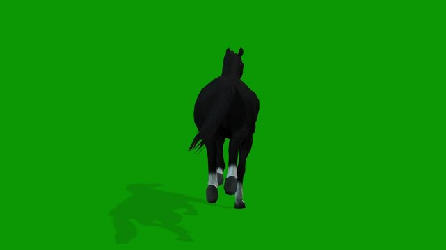 Black Horse Run Fast Backt Side On Green Screen-3D Rendering Animation